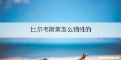 比尔韦斯莱怎么牺牲的