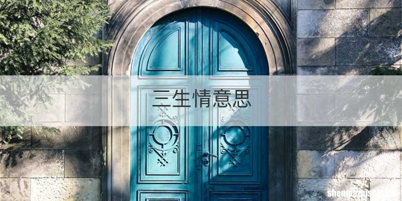 三生情意思