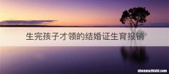 生完孩子才领的结婚证生育报销