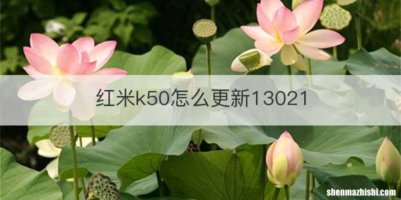 红米k50怎么更新13021