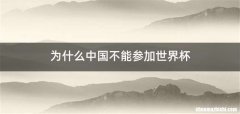 为什么中国不能参加世界杯