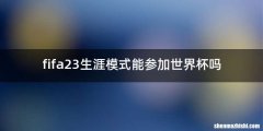 fifa23生涯模式能参加世界杯吗