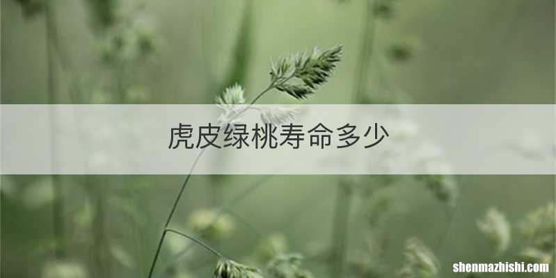 虎皮绿桃寿命多少