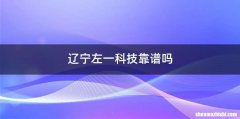 辽宁左一科技靠谱吗