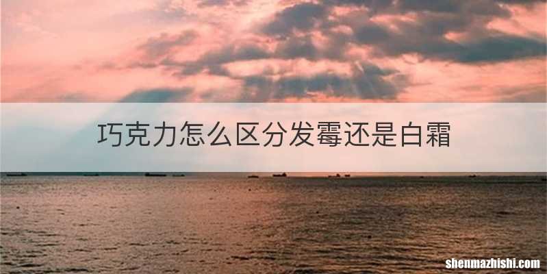 巧克力怎么区分发霉还是白霜