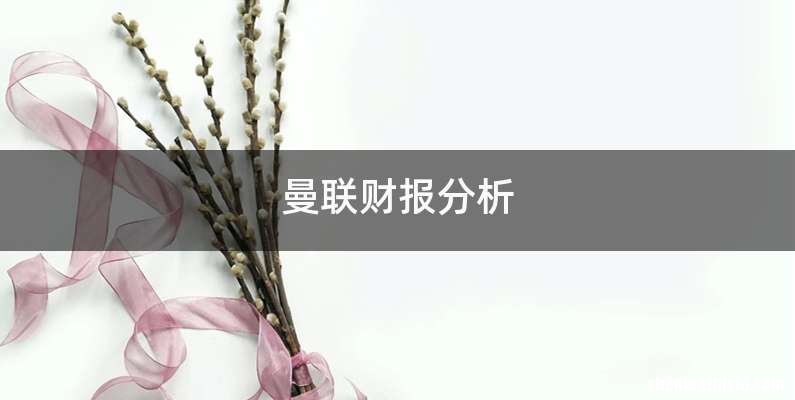 曼联财报分析
