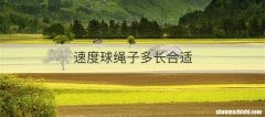 速度球绳子多长合适