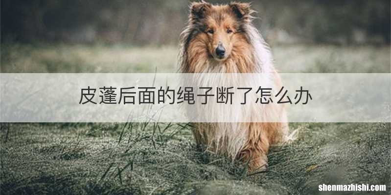 皮蓬后面的绳子断了怎么办
