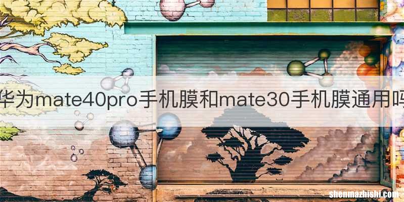 华为mate40pro手机膜和mate30手机膜通用吗
