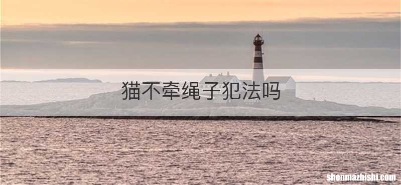 猫不牵绳子犯法吗