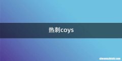 热刺coys