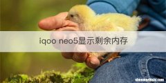 iqoo neo5显示剩余内存