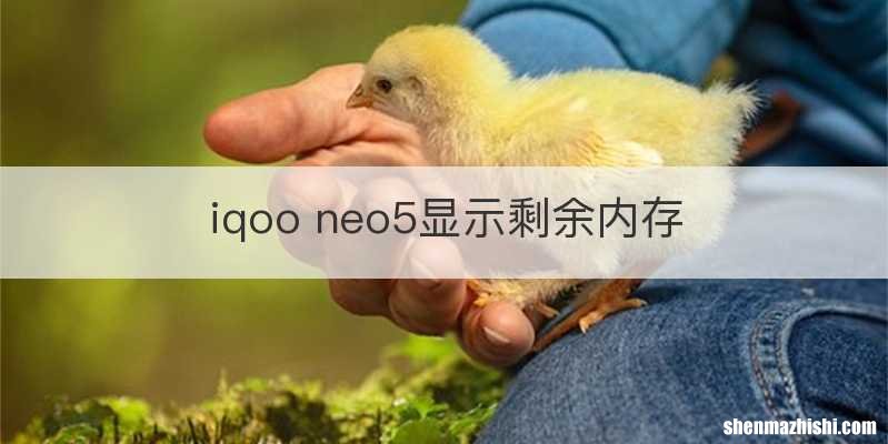 iqoo neo5显示剩余内存