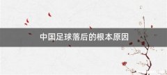 中国足球落后的根本原因