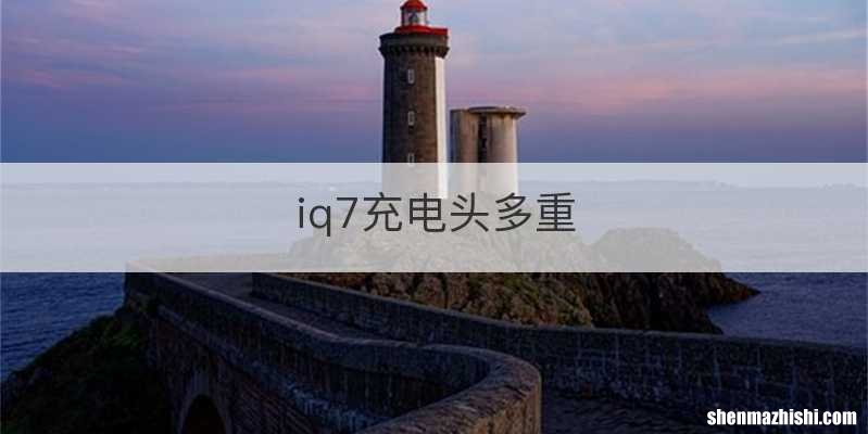 iq7充电头多重