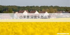 小米景深镜头怎么开
