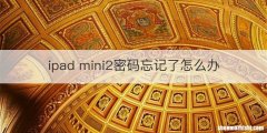 ipad mini2密码忘记了怎么办