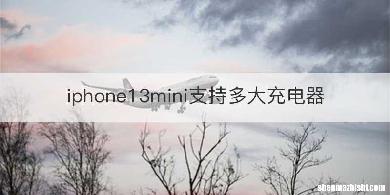 iphone13mini支持多大充电器
