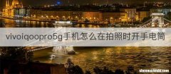 vivoiqoopro5g手机怎么在拍照时开手电筒