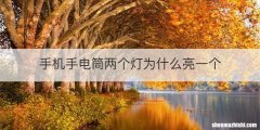 手机手电筒两个灯为什么亮一个