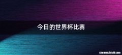 今日的世界杯比赛