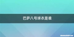 巴萨八号球衣是谁