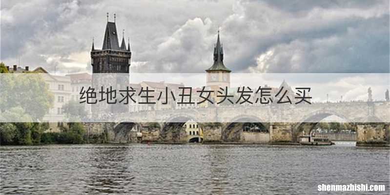 绝地求生小丑女头发怎么买