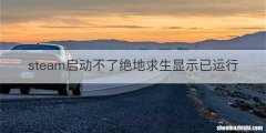 steam启动不了绝地求生显示已运行