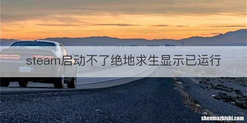 steam启动不了绝地求生显示已运行