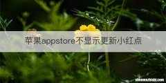 苹果appstore不显示更新小红点