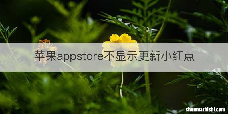 苹果appstore不显示更新小红点