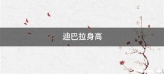 迪巴拉身高