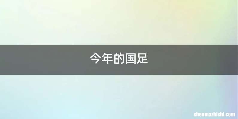 今年的国足
