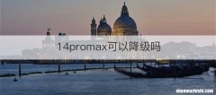 14promax可以降级吗