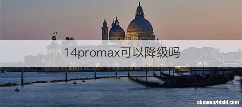 14promax可以降级吗