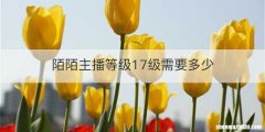 陌陌主播等级17级需要多少