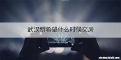 武汉新希望什么时候交房