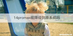 14promax能降级到原系统吗