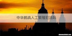中华鹧鸪人工繁殖犯法吗