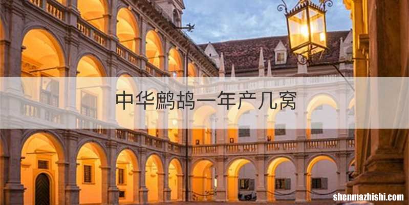 中华鹧鸪一年产几窝