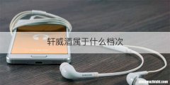 轩威酒属于什么档次