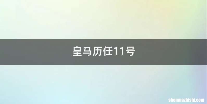 皇马历任11号
