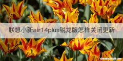 联想小新air14plus锐龙版怎样关闭更新