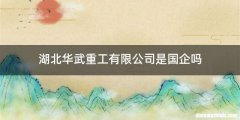 湖北华武重工有限公司是国企吗