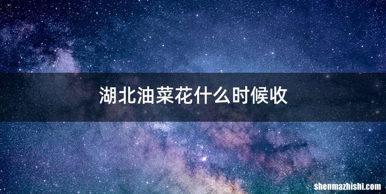 湖北油菜花什么时候收