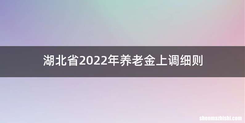 湖北省2022年养老金上调细则