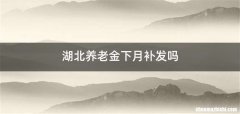 湖北养老金下月补发吗