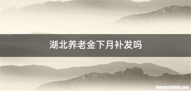 湖北养老金下月补发吗