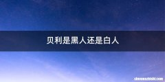 贝利是黑人还是白人