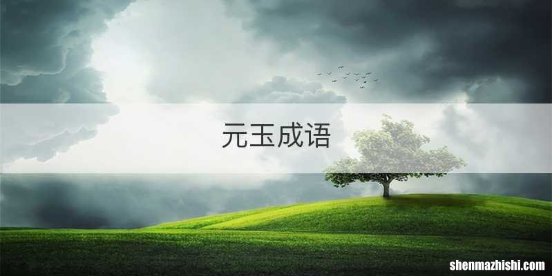 元玉成语